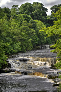 Aysgarth falls Yorkshire dales, England